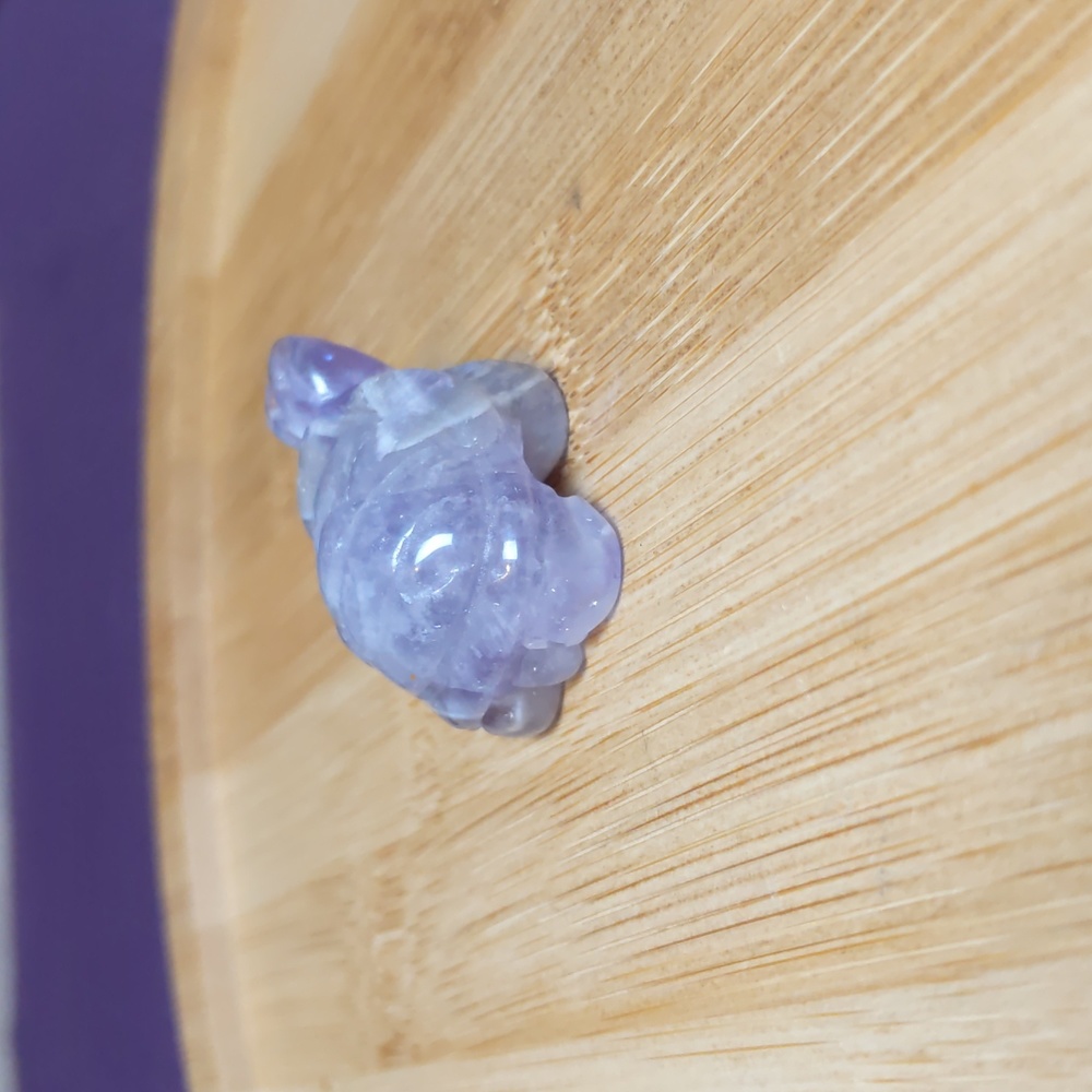 Mini Amethyst Turtle 🐢 - Picture 10 of 11